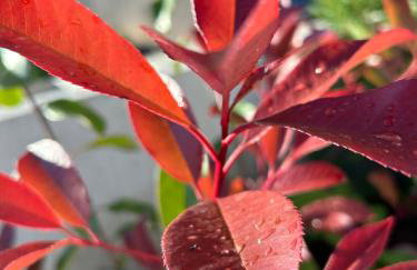 V Residence Apartments - Foto 45