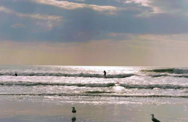 Spacious flat - fabulous sea views & walk to beach - Foto 23