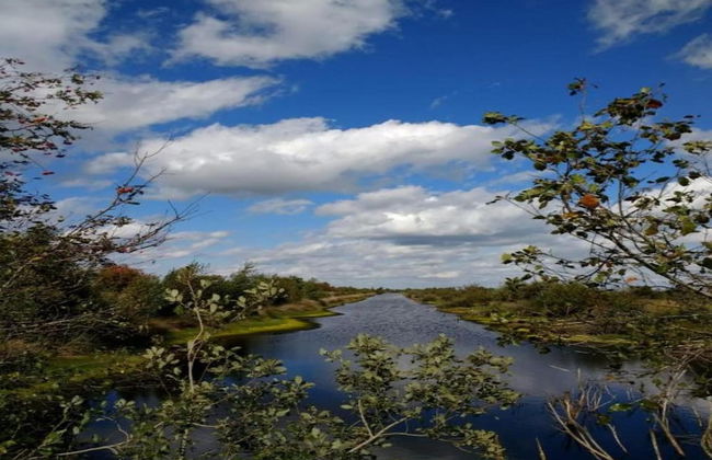 Lakeside Bliss in Friesland - Foto 19