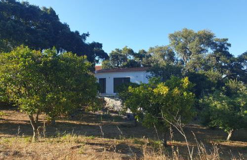 Quinta de São Pedro - Photo 77