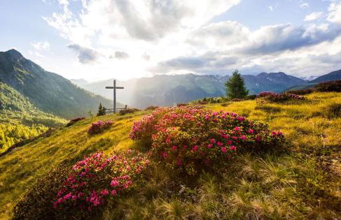 Residence Bannwald - Photo 19