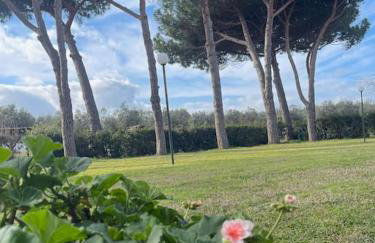 Agriturismo I GRANAI - Foto 26