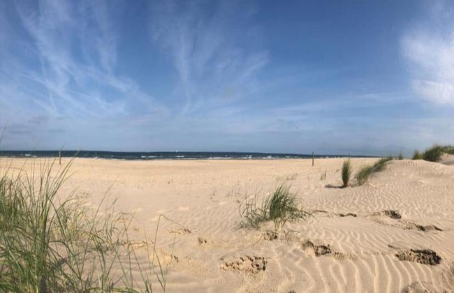 Elite Holiday Home in North Holland near Forest - Foto 32