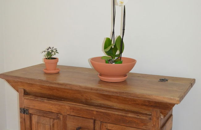 Casa da Cisaltina - Foto 5