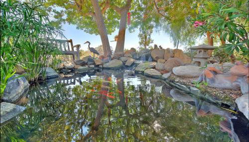 Temecula Valley Private Estate Panoramic Mountain & Pool Views - Foto 3, Garden view