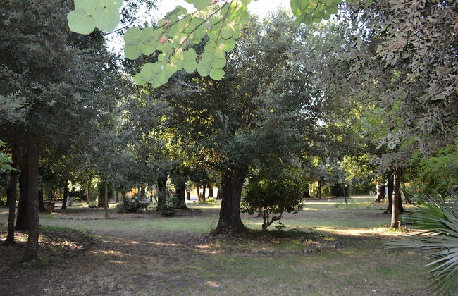 Agriturismo Villa Graziani - Photo 67