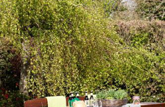 Zum Brack Venn - Foto 21