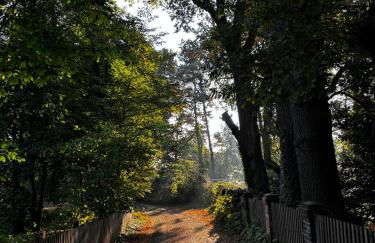 Fachwerkwohnung am Allerufer und Jakobsweg - Foto 22