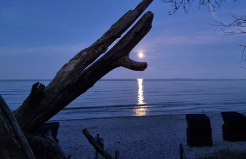 Suite WIDAR - Odins Blick Wohnung 2 - Privatstrand, Sauna, Garten - Foto 40