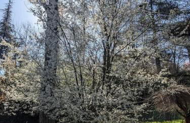 Le Stagioni del Parco - Foto 23