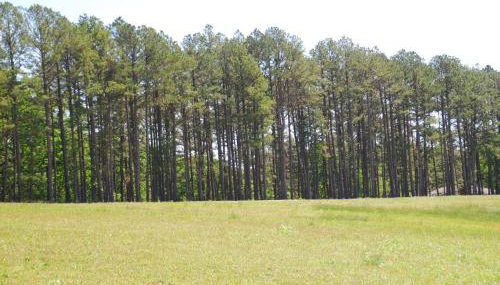 Fire Pit Cabin Retreat - Sleeps 6 - 1hr from STL - Foto 2