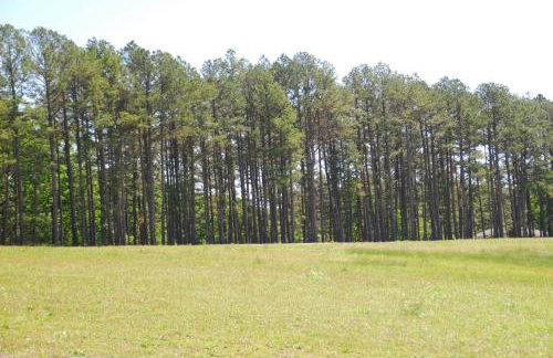 Fire Pit Cabin Retreat - Sleeps 6 - 1hr from STL - Foto 2