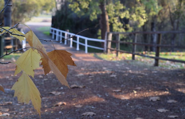 Brockman Park Estate - Foto 47