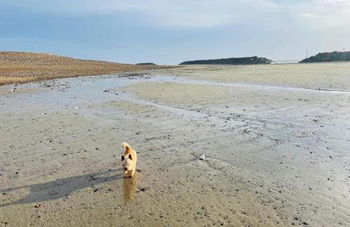 Braganza The Butler Collection - Foto 39