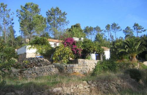 Quinta Da Relva - A traditional farmhouse in a stunning location - Foto 42