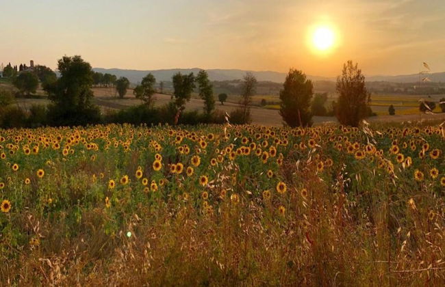 Villa With Panoramic Views - Foto 25