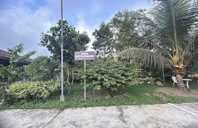 Annet Homestay - Foto 39