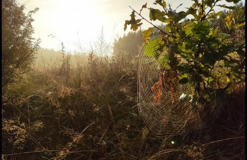 Hankówka Mazury - Foto 65