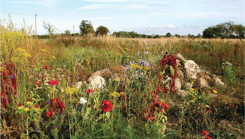 Lovely Home In Beiershagen With Wifi - Foto 2