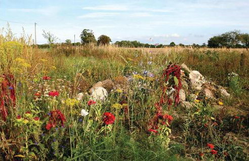 Lovely Home In Beiershagen With Wifi - Foto 2