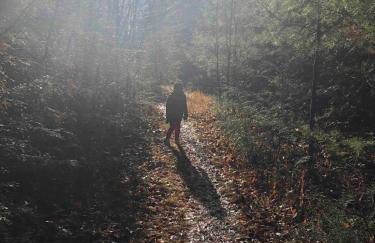 HoneyBee Homes - Foto 47