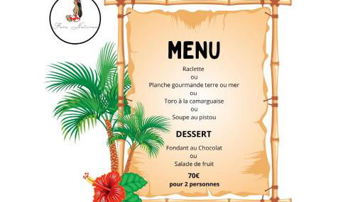 Aux portes de la Camargue studio balneo sauna et piscine - Foto 4