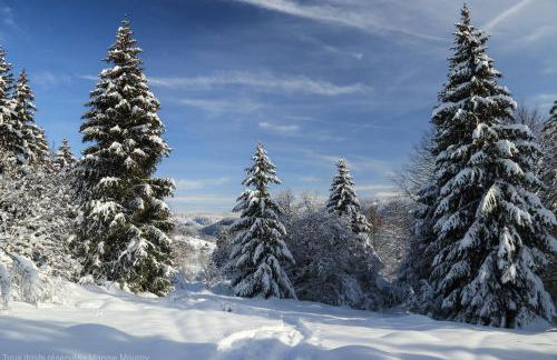 Au Coeur de Prémanon - Foto 34