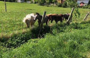 Dom górski do wynajęcia 3 km od Karpacza Sudecka 100 - Foto 24