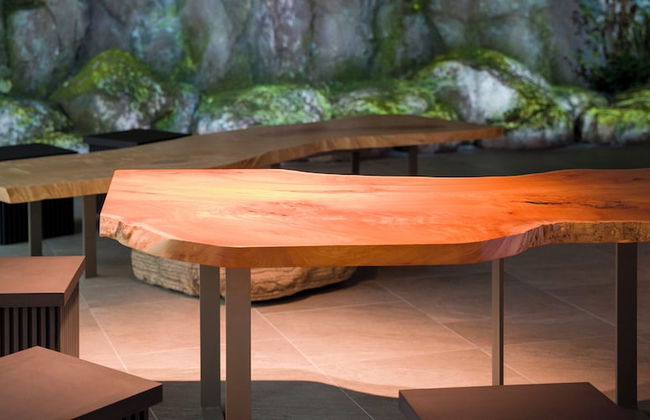 Rakuten STAY TERRACE Hakone Kowakudani - Foto 5