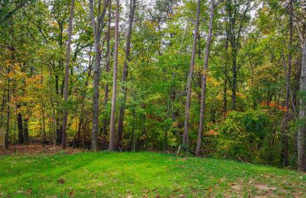 Melody Ridge Downtown with Fast WiFi, King Suite, Soaking Tub - Foto 26