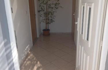 Apartmani Branka - Photo 36