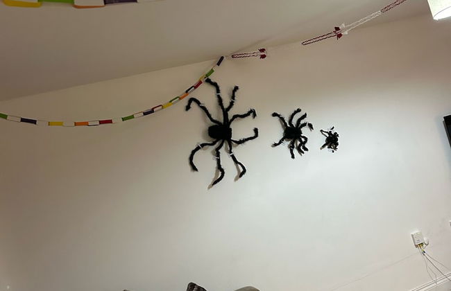 Spinners End - Photo 17