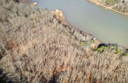 Lustrous Lakefront Cabin Oasis near Lake Ferndale in West Virginia - Foto 51