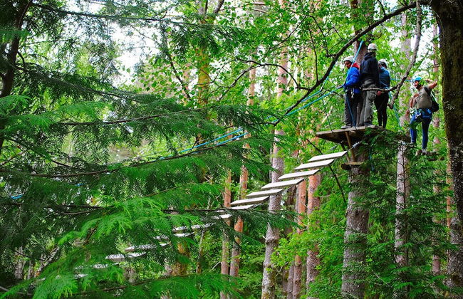 Bungalows da Peneda - Foto 9