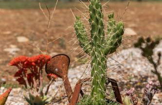 Quinta do Mocho by Portus Alacer - Photo 6
