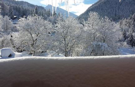 Studio Lachat - Centre village, vue montagnes - AravisTour - Foto 12