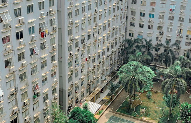 Nice and Homey 2BR City Park Apartment - Photo 17