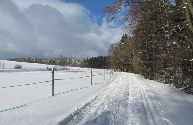 Holiday Apartment Borkowski - Foto 7