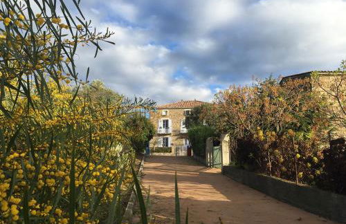 Les Figuiers - Foto 7