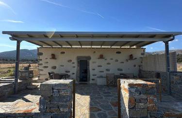 Mitatos "Matthew" - Foto 1