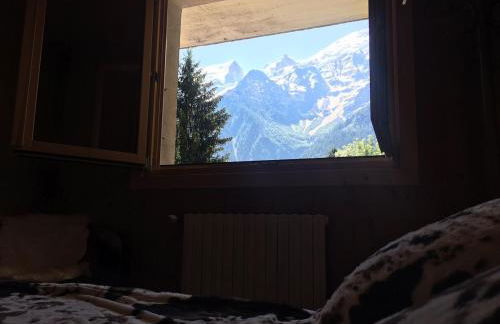 Petite Floria - Foto 8