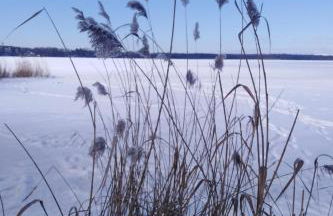 Ferienwohnung "Schwalbennest" - Foto 21
