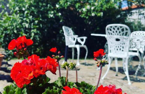 Casa do Beco B&B Douro - Guest House - Foto 23