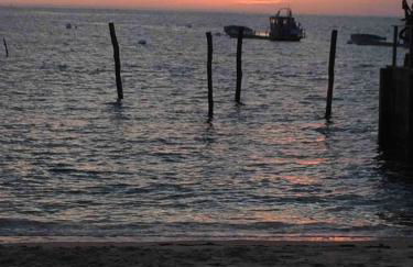 Deux studios bois terrasse jardin bassin et océan - Foto 12