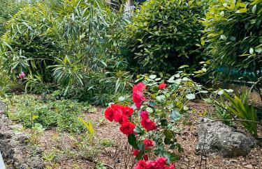 Home2Sea - Piscine, Jardin, studio cabine, 1 canapé lit convertible 2 ADULTES, 1 lit superposé triple 3 ENFANTS ou ADOS - Foto 66