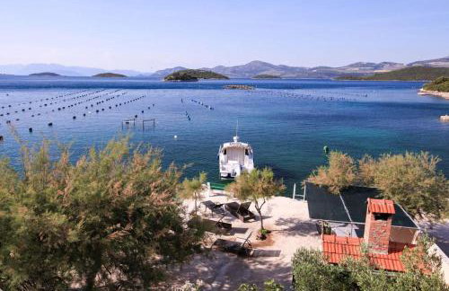 Robinson Dora - Foto 14