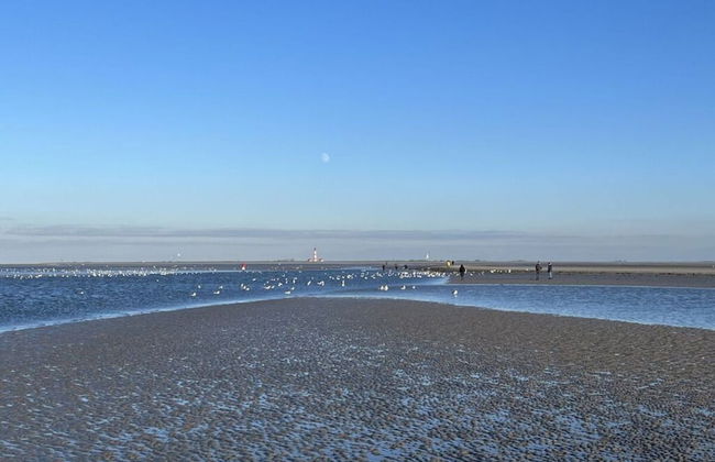 "luttdons" in the Haus am Deich - Foto 19