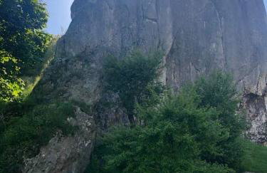 Leśna 6 - House with a garden - Foto 41