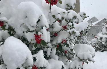 El Estacho de Panticosa - Photo 39