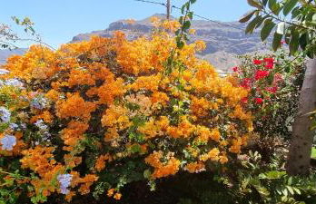 Casa Rural Anais - Foto 24